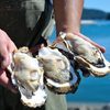 Dream Oysters from Ishinomaki