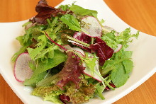 Other Japanese-style Salad