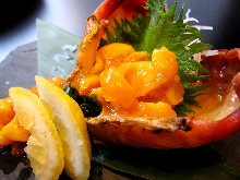 Live sea squirt sashimi