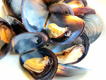 Mussels steamed in wine