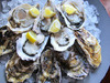 Fresh Oysters/Ogatsu Town M size