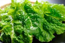 Sangchu (Korean stem lettuce)