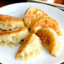 Gyoza