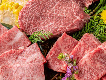 Assorted premium wagyu beef kalbi