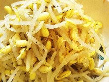 Bean sprouts namul (Korean seasoned bean sprouts)