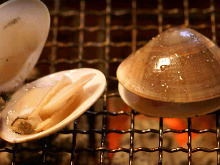 Grilled common orient clams