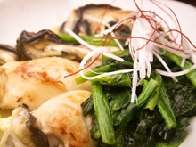 Oysters