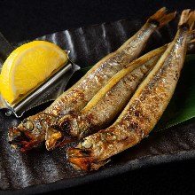 Shishamo smelt with roe