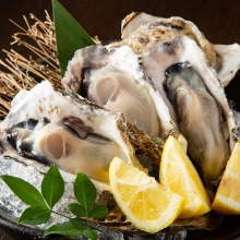 Oyster with shell
