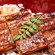 Grilled eel