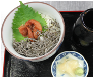 Ume chazuke (plum and rice with tea)