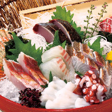 Assorted sashimi, 5 kinds