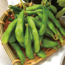 Edamame beans