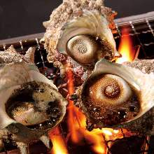 Grilled turban shell