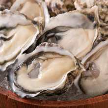 Raw oyster