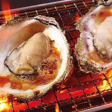 Oysters