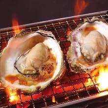 Oysters