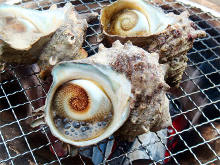 Grilled turban shell