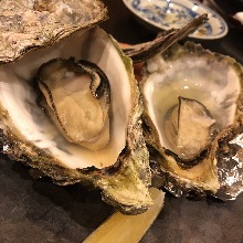 Grilled oysters