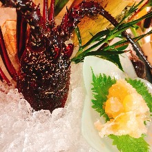 Live spiny lobster sashimi