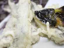 Sardine tempura