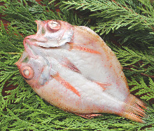 Lightly-dried rosy seabass