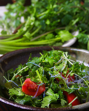 Coriander salad