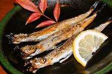 Shishamo smelt with roe