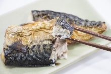 Salted and grilled mackerel