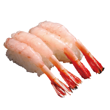 Ama ebi (pink shrimp)