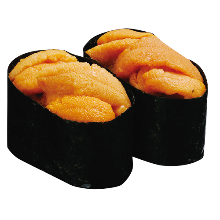 Raw sea urchin