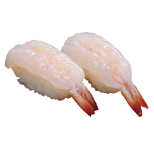 Shrimp