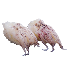 Geso (squid legs)