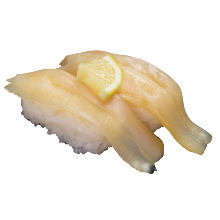 Geoduck