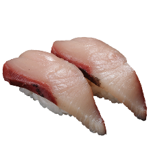 Hamachi(yellowtail)