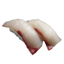 Kanpachi(amberjack)