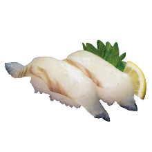 Hirame(flounder)