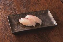 Kanpachi(amberjack)
