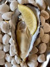 Raw oyster