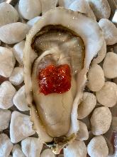 Raw oyster