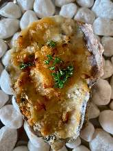 Oyster gratin