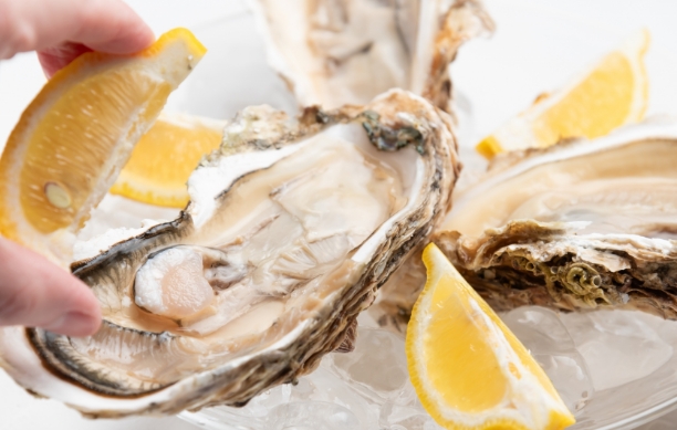 Oyster Guide in Japan