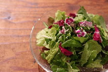 最低10種は混ぜた旬の葉野菜サラダ