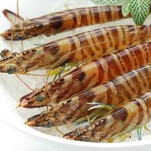 県産車エビの塩焼き