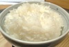 ごはん ごはん