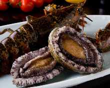 19,800円コース (11品)