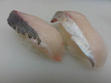 シマアジ（寿司）