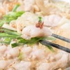 とろける牛もつ鍋コース とろける牛もつ鍋コース