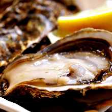 生牡蠣 生牡蠣