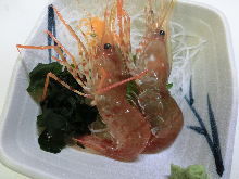 地元南茅部産活ボタン海老刺し